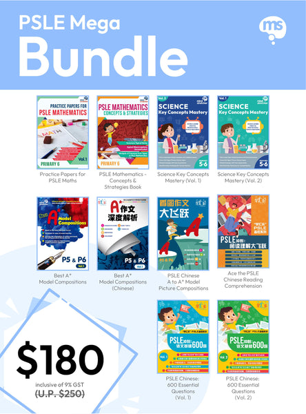 PSLE Mega Bundle