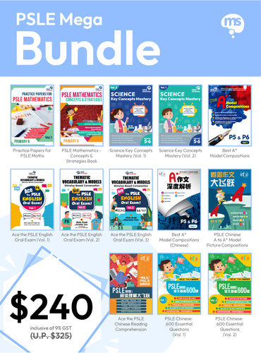 PSLE Mega Bundle